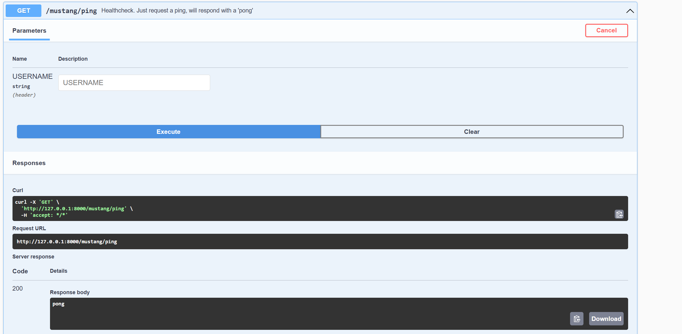 screenshot_ping